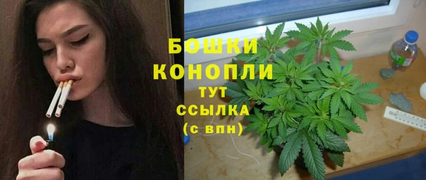 PSILOCYBIN Лихославль