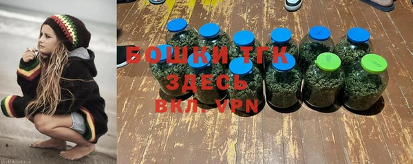 PSILOCYBIN Лихославль